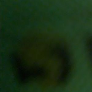 Meet your Posher, Nina